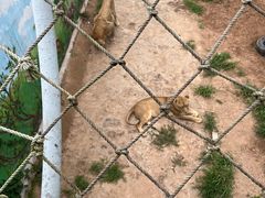 -西霞口神雕山野生动物世界