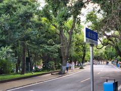 -八大关景区