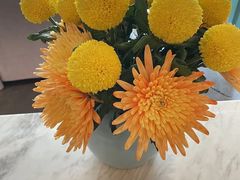 -南堂馆·新川菜(春熙路店)