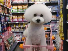 -萌兽医馆·眼科·异宠专科(三里屯店)