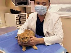 -美联众合动物医院·24h京西诊疗中心