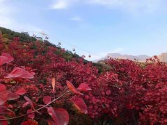 -周口店坡峰岭风景区