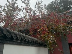-承恩寺