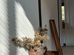 -MOJ coffee(瓯海泽雅水碓坑店)