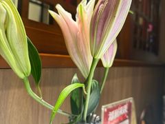 -柴火大院烤鸭民间菜