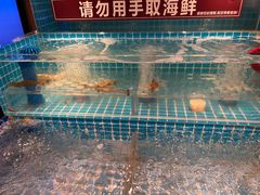 -焰江山海鲜牛排烤肉自助(锦华万达二星店)