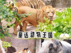-长鹿旅游休博园