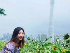 -二沙岛艺术公园