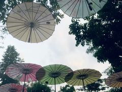 -海口观澜湖火山温泉谷