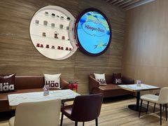 -哈根达斯(国瑞店)