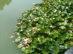 -镇江市南山风景名胜区竹林景区