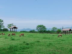 -良渚古城遗址公园