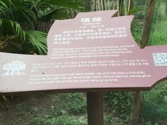 -北海金海湾红树林生态旅游区