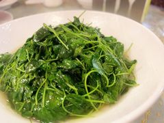 -新聚丰菜馆(太监弄店)