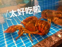 -汇丰苑·海鲜青岛菜(中山路大鲍岛店)