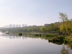 -前关湿地公园