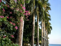 -三亚海棠湾万丽度假酒店