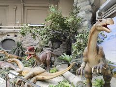 -国家自然博物馆