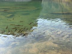 -九曲溪竹筏码头