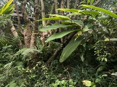 -海兰云天度假区温泉