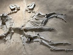 -洛阳周王城天子驾六博物馆