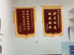 -特一安24小时宠物医院·骨科·中兽医