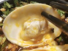 大白贝-水哥卜卜贝(东晓·胜汇里店)