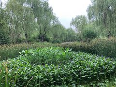 -燕郊植物园