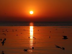 -老虎石海上公园