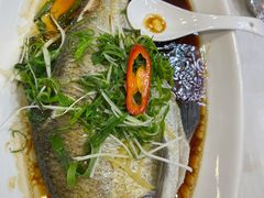 蒸鲈鱼-渔意楼·驰名沙田乳鸽(五羊旗舰店)