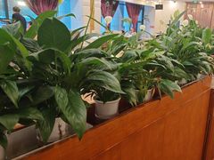 -巴音浩日娲·蒙餐(双林东路店)