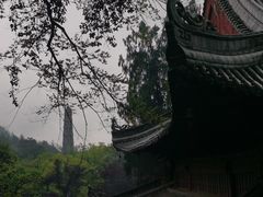 -天台山景区