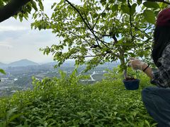 -大罗山风景区