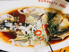 翘嘴鲌鱼-丹江渔村(望京店)
