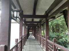 -南山植物园