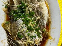 -海鸥岛河景湖大排档