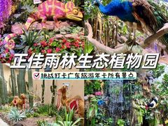 -正佳雨林生态植物园