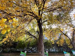 -元大都城垣遗址公园