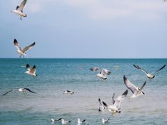 -那香海钻石沙滩浴场