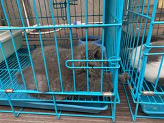 -阿青龙虾·烧烤大排档(湖里万达店)