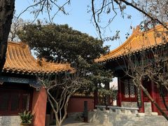 -戏马台景区