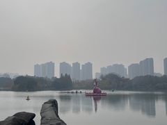 -青枫公园