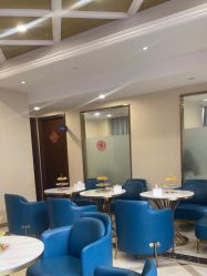 -碧莲盛·不剃发植发