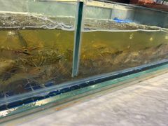 -川骄海鲜自助(河东店)