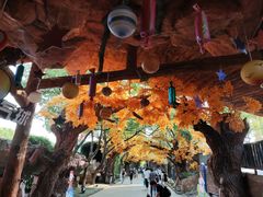 -横店影视城梦幻谷园区