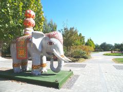 -永定河休闲森林公园