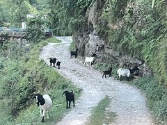 -阿依河景区