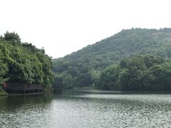 -白马涧龙池景区
