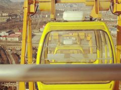 -石家庄市动物园