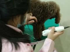 -佳雯宠物医院(四明中路分院)